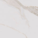 Astro Oro Gold 60 x 60cm Polished Swatch