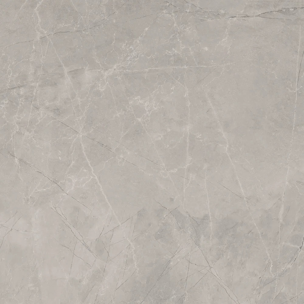 Bakuna Silver Polished 60x120cm Swatch