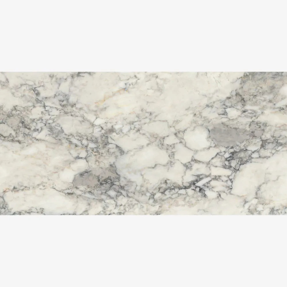 Etruscan White 60 x 120cm matt Rect Swatch