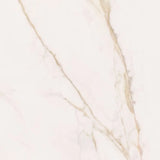 Forever Gold 120 x 120cm Polished Marble Effect Tile Swatch