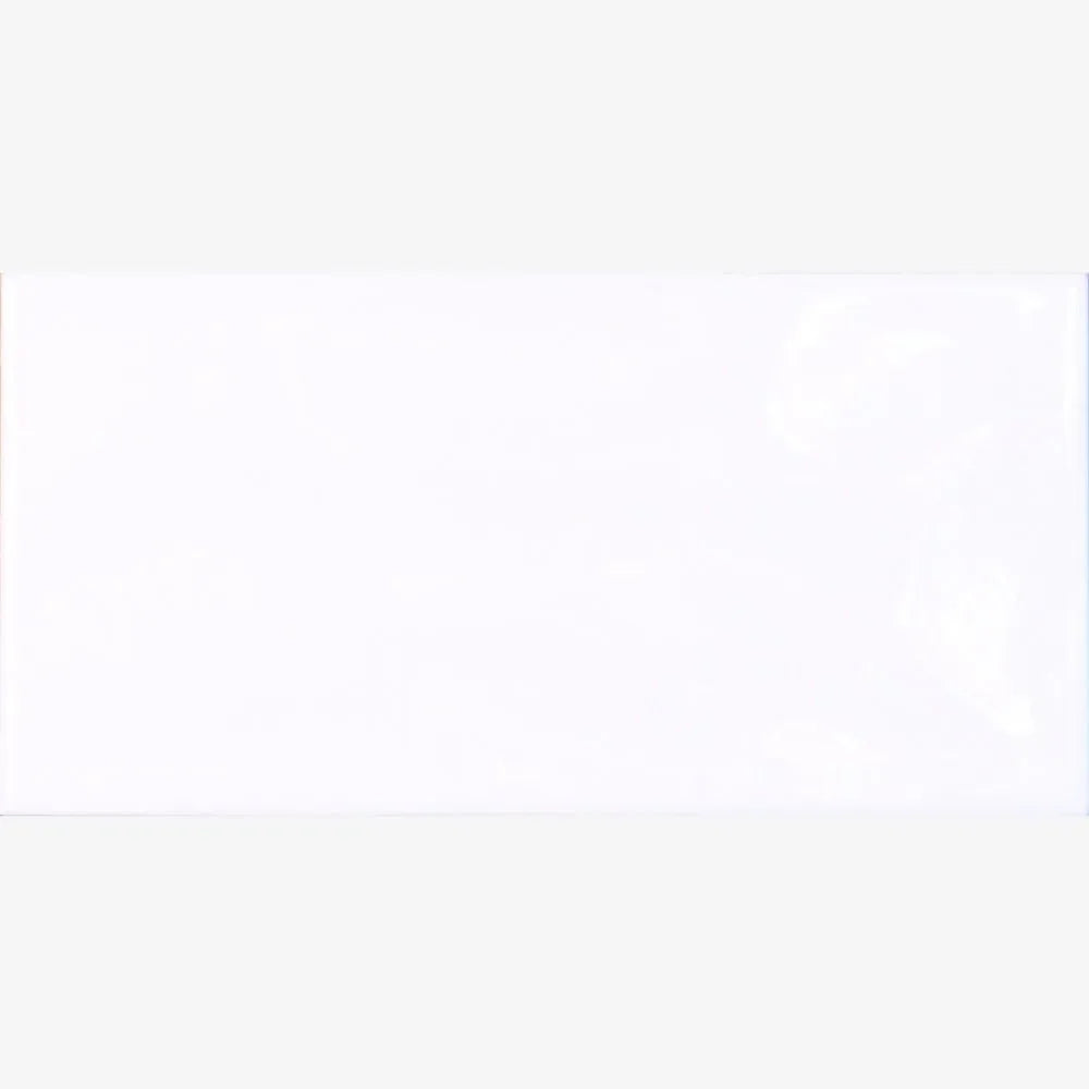 Marcelle Negro Brillo 10 x 20cm Subway Tile Swatch