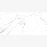 Neptune 60 x 120cm matt Tile Swatch