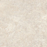 Pradeno Earth Natural 60 x 60cm Tile Swatch