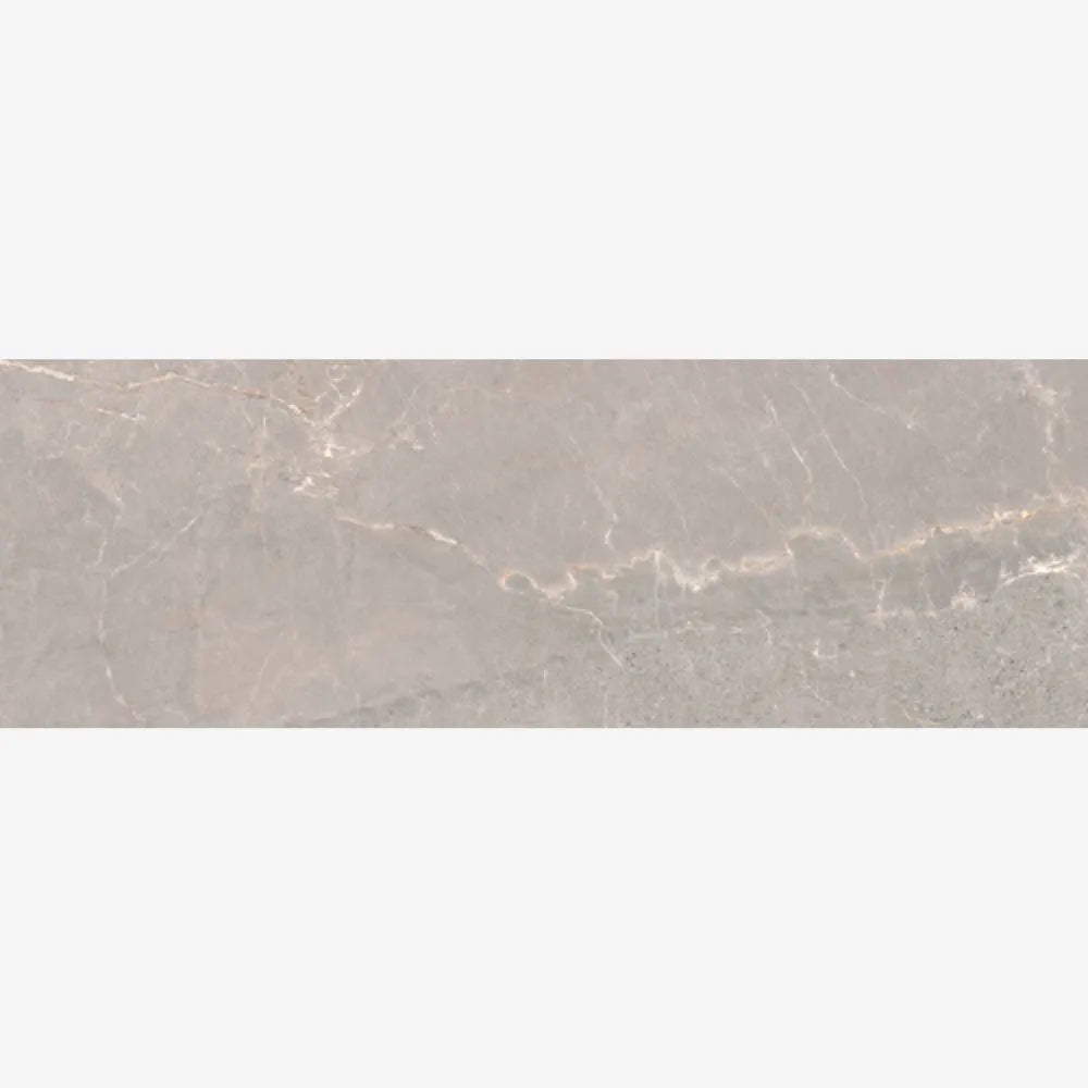 Pradeno Iron Natural 33.3 x 100cm Tile Swatch