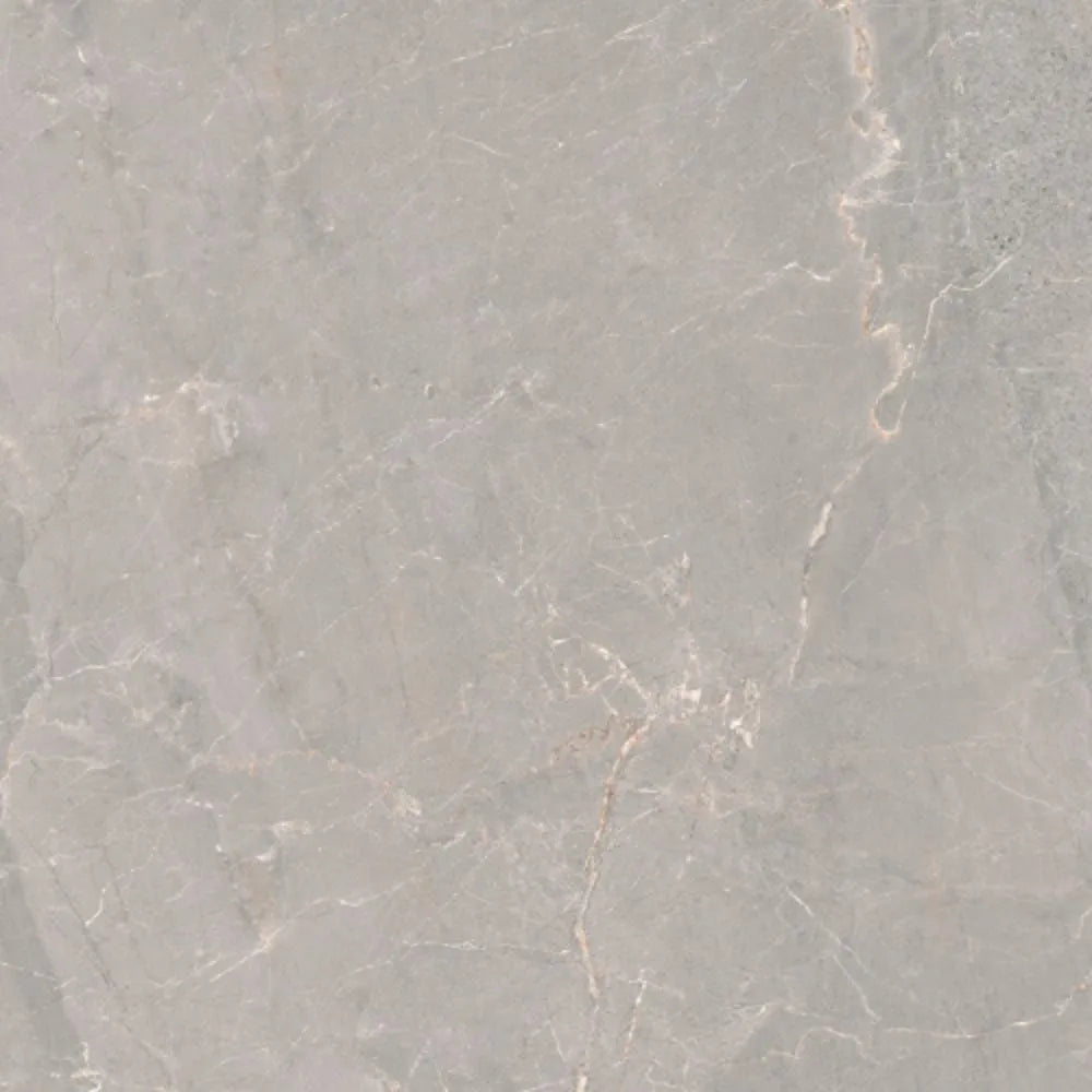 Pradeno Iron Natural 60 x 60cm Tile Swatch