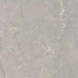 Pradeno Iron Natural 60 x 60cm Tile Swatch