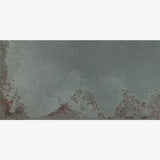 Solvenza Grey 60 x 120cm Super Lappato Swatch