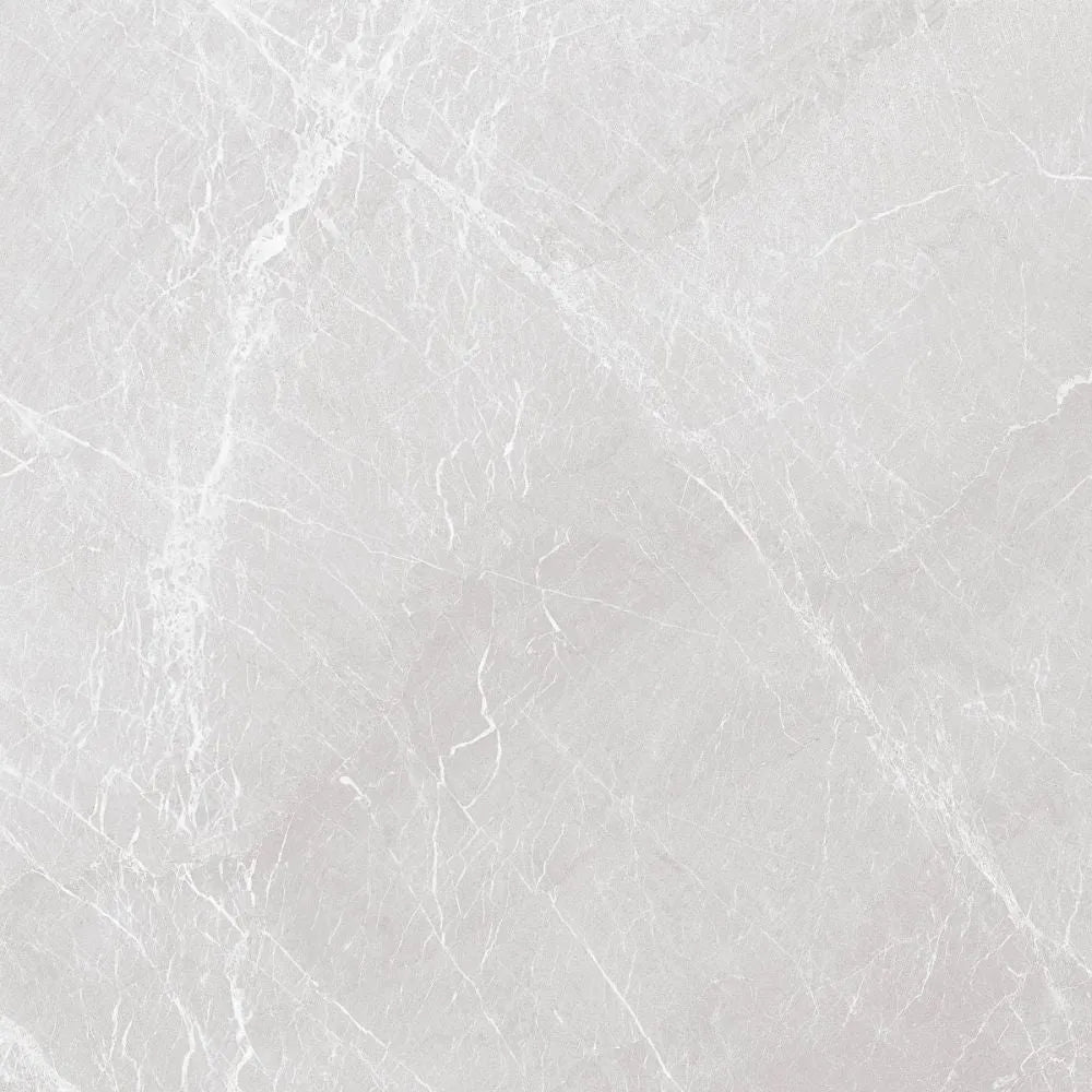 Stromboli Light Grey Polished 60 x 60cm Swatch