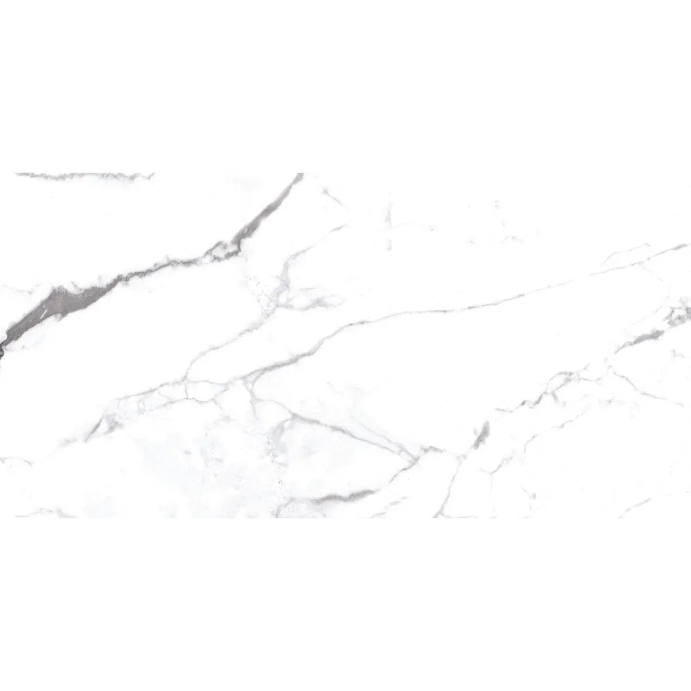 Olite Gemstone Porcelain Indoor Marble Effect White Matt Wall & Floor Tile 60x120 - Tile Outlet