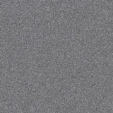 Taurus Granit 65S Antracite 30 x 30cm TIle Swatch